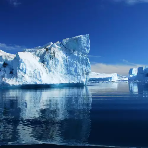 Сънувах ледовете на Антарктида