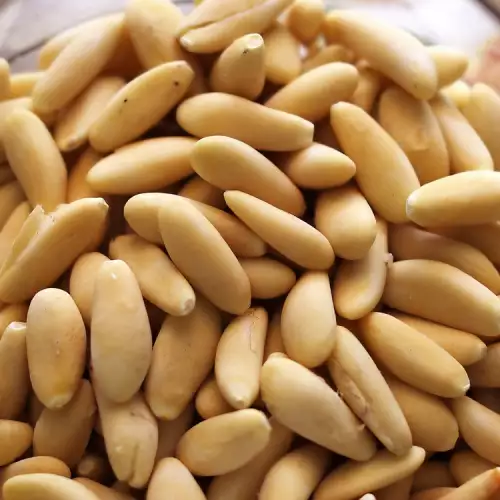 Pine Nuts - Exotic, but Very Healthy