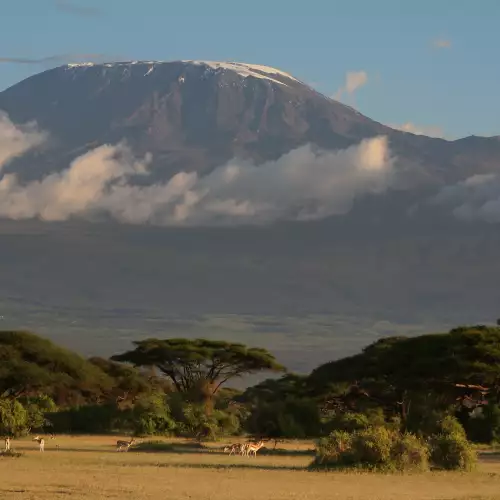 Mount Kilimandjaro