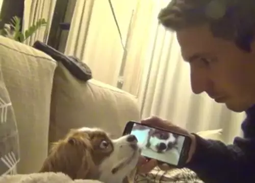 Мъж откри как да спре хъркането на кучето си