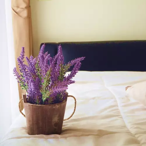 Тези цветя за спалня пречистват въздуха и подобряват съня ви