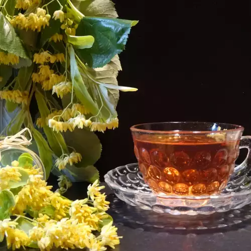 Čaj od lipe - zbog čega je koristan i zašto treba da ga pijemo?