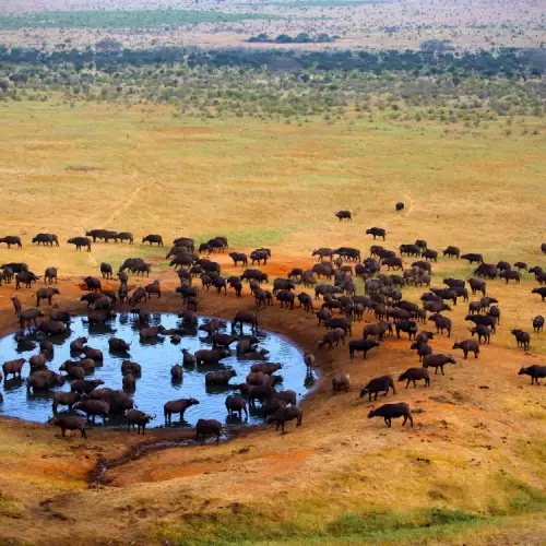 Резерват Масай Мара (Masai Mara)
