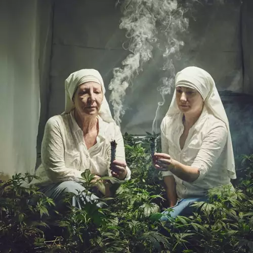 Две монахини отглеждат марихуана, за да излекуват света