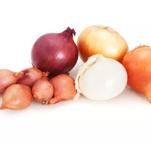 Los diferentes tipos de cebollas y ajos