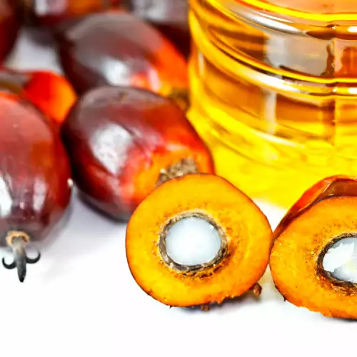 ¿El aceite de palma es beneficioso o es dañino?