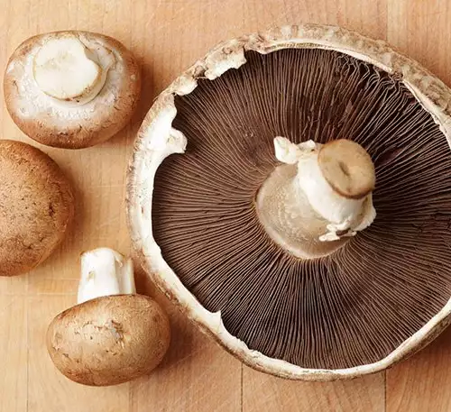 Portobello Pilze - der leckere Pilz, der unsere Taille schlank hält