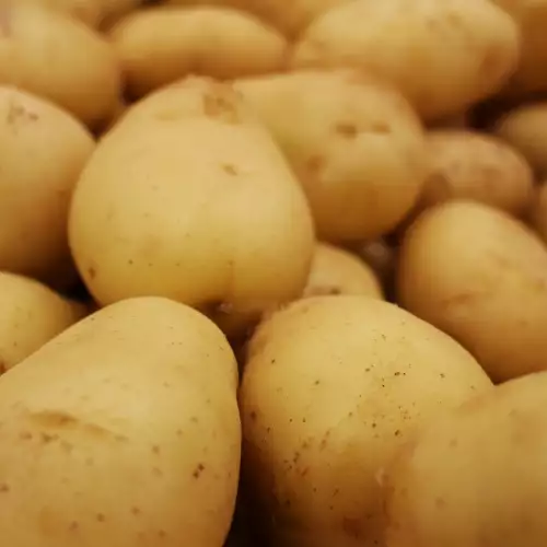 Картофен листозавиващ вирус по картофите