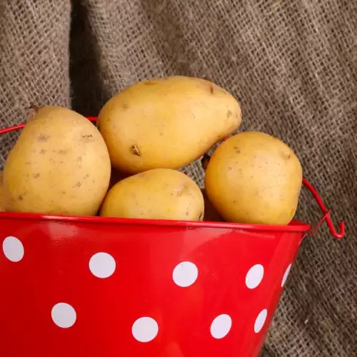 Fünf Möglichkeiten Kartoffeln zu kochen