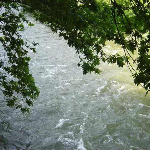 Станишев : Река Струма е много мръсна, предприемам мерки за почистване на това природно богатство