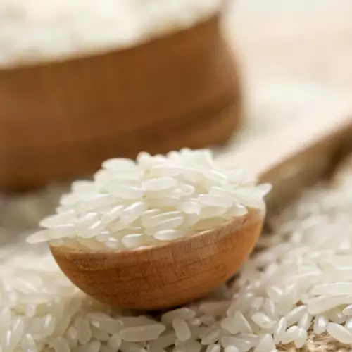 ГМО оризът е единствената алтернатива на човечеството