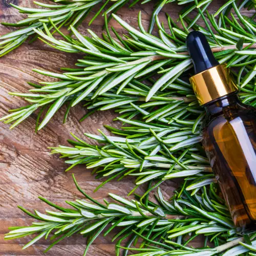 Rosemary Essential Oil - Benefits and Uses