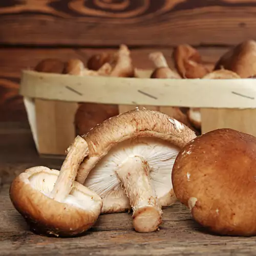 De voordelen van shiitake paddenstoelen