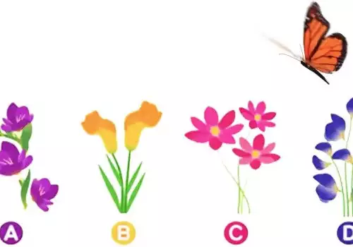 Pick a Flower! Find out What you`re Like in Love
