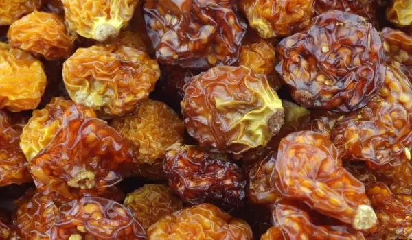 Dried Physalis - Inca Berry