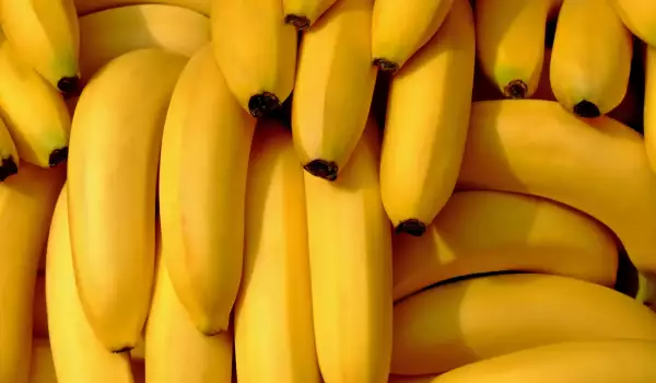 Bananas are high in carbohydrates