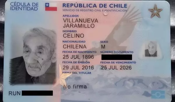 Celino ID