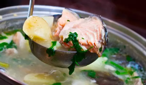 Fischsuppe mit Liebstöckel