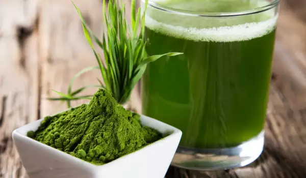 Spirulina