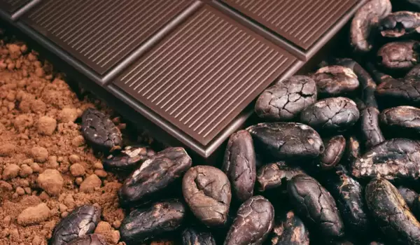 Cacao en polvo y granos