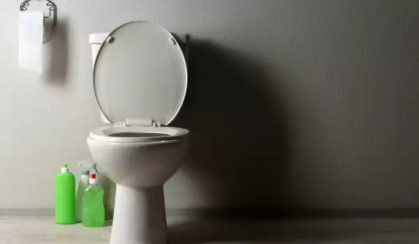 Кучето пие вода от тоалетната чиния