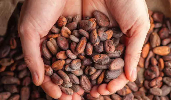 Какаото прочиства кръвта от токсини