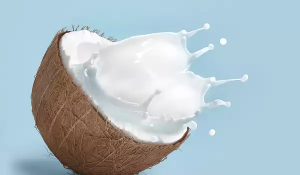 Coco y leche de coco