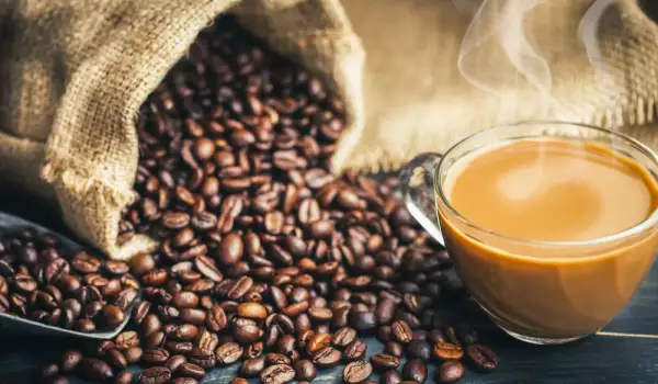 Kaffeesorte Liberia