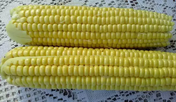 Klipovi kukuruza