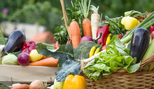Как да съхраняваме пресните зеленчуци - общи правила