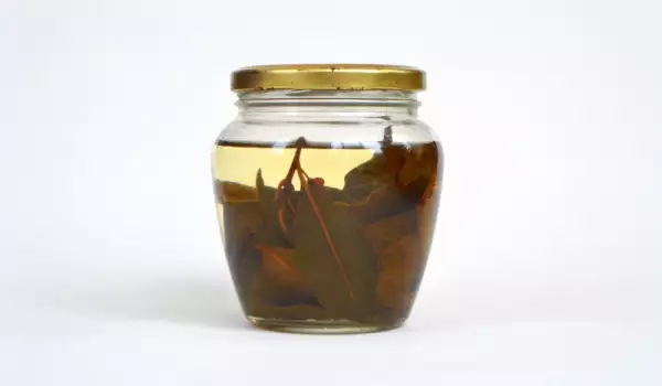 Лек против бронхит с дафинов лист