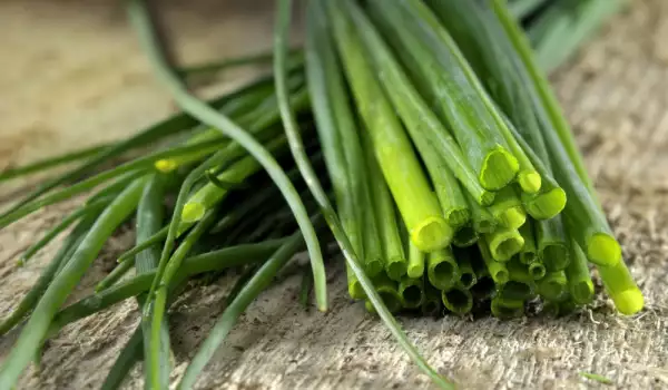 Benefits of Chives