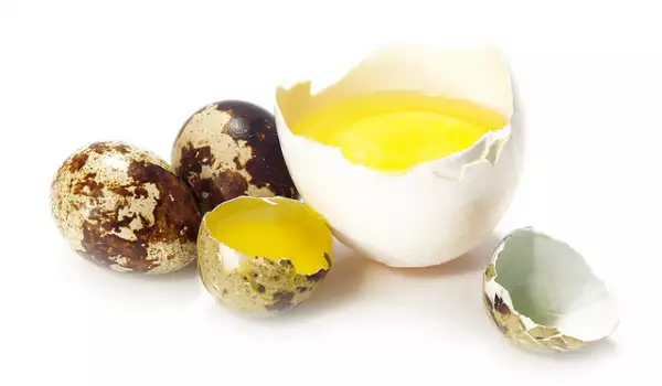 Huevos de codorniz - cáscara