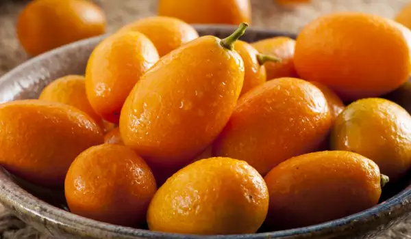 Fruta cítrica Kumquat