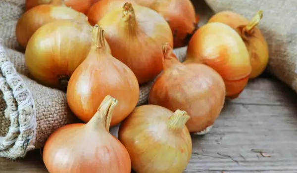Benefits and Uses of Onion Peels