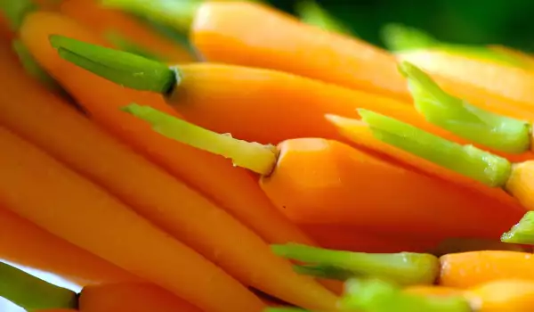 Zanahorias frescas