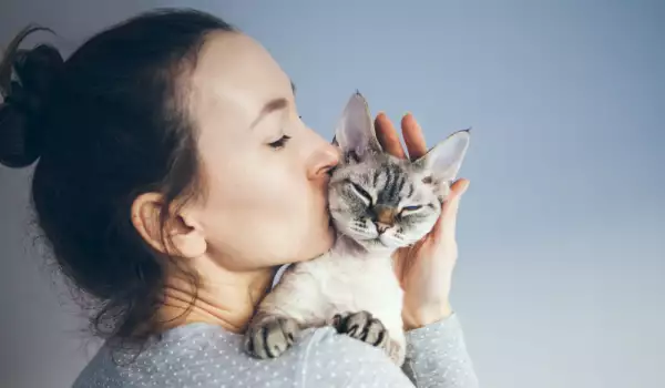  12 стъпки за незабавна акомодация на котето в новия му дом 