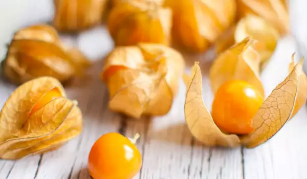 Physalis