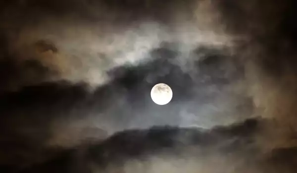 Weird Moon Dream