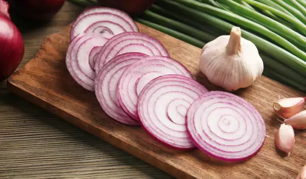 Onions and garlic are sources of inulin