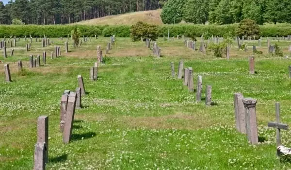 Love in a cemetery