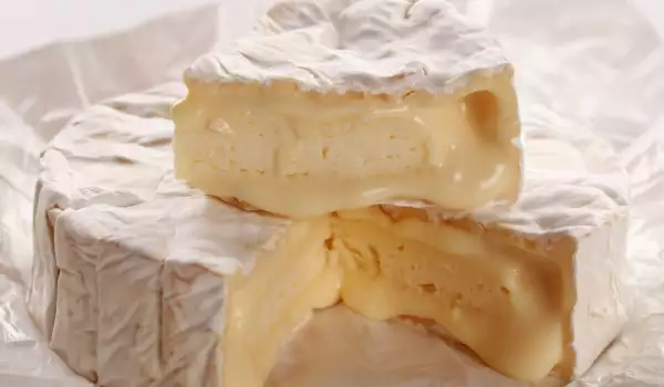 Französicher Käse - Camembert