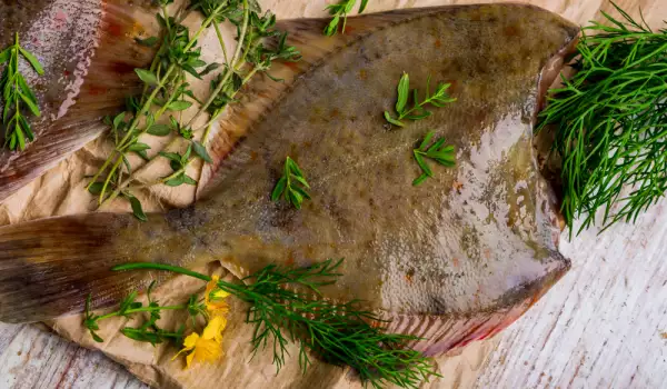 Cooking turbot