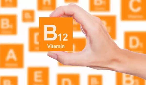  Витамин В12 е значим за мозъка 