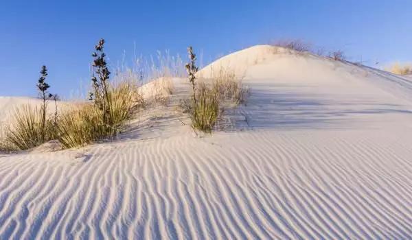 Белите пясъци