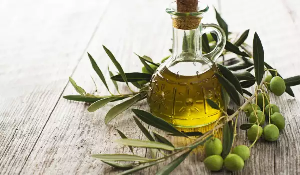 Olivenöl normalisiert den Cholesterinspiegel
