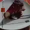 Чийзкейк със сладко от цариградско грозде