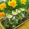 Пролетна салата с елда и сварени яйца