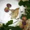 Есенен сладкиш със смокини
