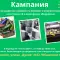 Община Банско стартира кампания за разделно събиране на електрически изделия